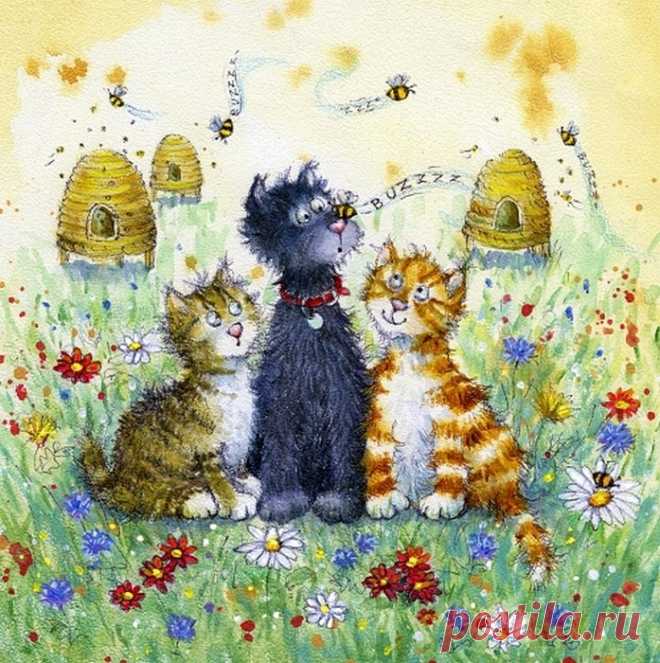 Jan Pashley