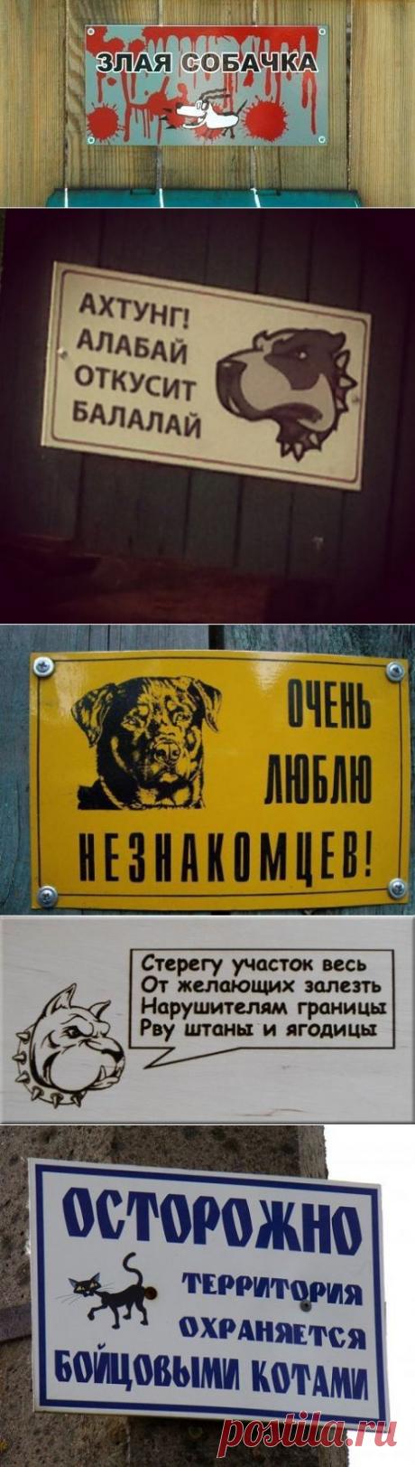 Смешные и забавные таблички-предупреждения о собаках во дворе (17 фото)