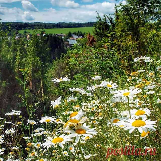 Как быстро мчится лето, уже середина июля.

#лето#июль#жара#деревня#сибирь#пермский#край#россия#r_u_s_s_i_a#глубинка#russia_img#русскаякрасота#summer#мояроссия#summertime#фотодляроссии#landscape_russia#русскаядеревня#village_ru#открываемроссию#fotorussia#rus_photos#po_strane#russia_fotolovers#russianvillage