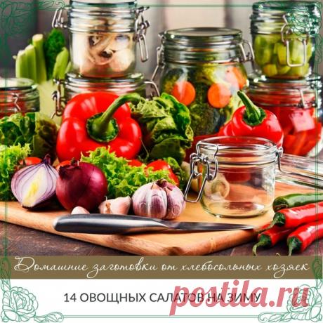 14 овощных Салатов на зиму.

Каждый салат – хорошее дополнение к любому блюду из мяса, птицы или рыбы. 2-3 ложки салата, добавленного в суп, щи или борщ, изменят их вкус и придадут первым блюдам особую пикантность. В любом случае для каждой хозяйки хороший салат в зимнее время всегда будет палочкой-выручалочкой.

1. Салат «Молодчик»
2. Овощной салат
3. Салат «Золотой запас»
4. Салат «Кабачок – крутой бочок»
5. Салат «Пир на весь мир»
6. Салат из кабачков и фасоли
7. Салат ...