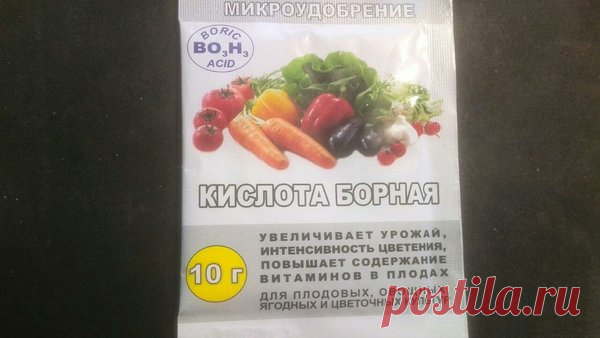 Чудо-средство для увеличения завязей огурцов. Секретный ингредиент! | Дачные секреты от Виктории Радзевской | Яндекс Дзен