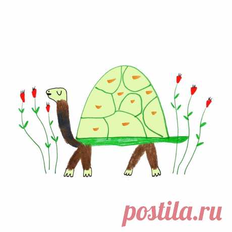 turtle illustration, turtle art, turtle design, illustration, artist, designer, hire an illustrator, freelance, animal art, nature, - Ashley Percival Illustration