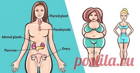 Топ-6 трав для баланса ваших гормонов естественным способом - Упражнения и похудение Проверенные средства! Гормональный дисбаланс может быть причиной симптомов, которые вы испытываете, таких как беспокойство, вздутие живота или хроническая усталость, увеличение веса, поскольку это может повлиять на ваше общее состояние здоровья. Гормоны играют самую важную роль в нашем организме, поскольку они регулируют наше настроение, обмен веществ, пищеварение, репродукцию, дыхание, фу...