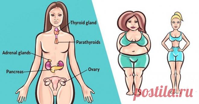 Топ-6 трав для баланса ваших гормонов естественным способом - Упражнения и похудение Проверенные средства! Гормональный дисбаланс может быть причиной симптомов, которые вы испытываете, таких как беспокойство, вздутие живота или хроническая усталость, увеличение веса, поскольку это может повлиять на ваше общее состояние здоровья. Гормоны играют самую важную роль в нашем организме, поскольку они регулируют наше настроение, обмен веществ, пищеварение, репродукцию, дыхание, фу...