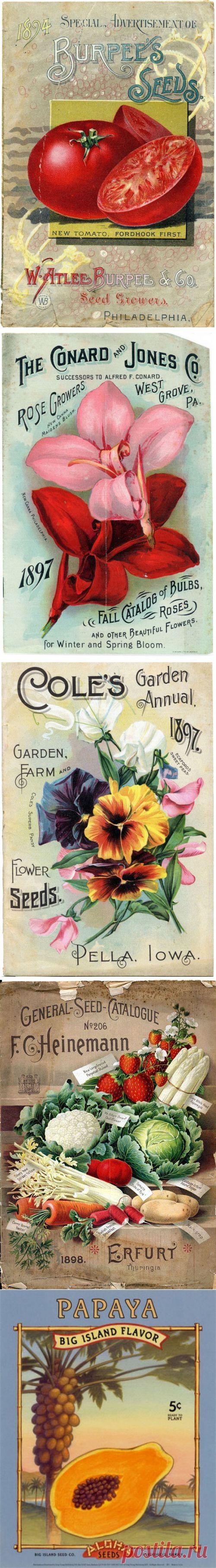 Кухонные этикеточки / Картинки для декупажа / PassionForum - мастер-классы по рукоделию