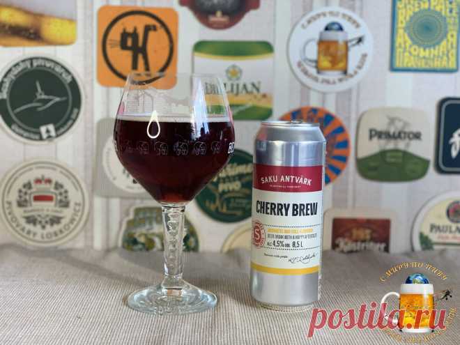 Пробую 3 новых пива Saku из алкомаркета Красное&Белое | С Миру по Пиву! | Яндекс Дзен