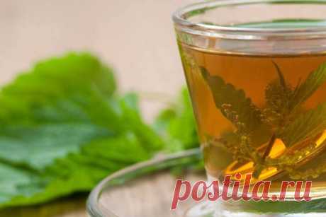 Природные средства от аллергии | ЗДОРОВАЯ СЕМЬЯ | Яндекс Дзен