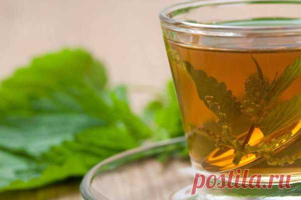 Природные средства от аллергии | ЗДОРОВАЯ СЕМЬЯ | Яндекс Дзен