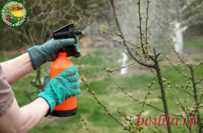 Photo by Моя любимая, дача on January 30, 2022. May be an image of outdoors.