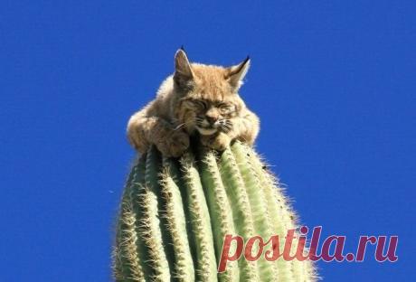 Фотографии на стене сообщества | 19 484 фотографии