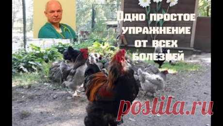Одно простое упражнение от всех болезней