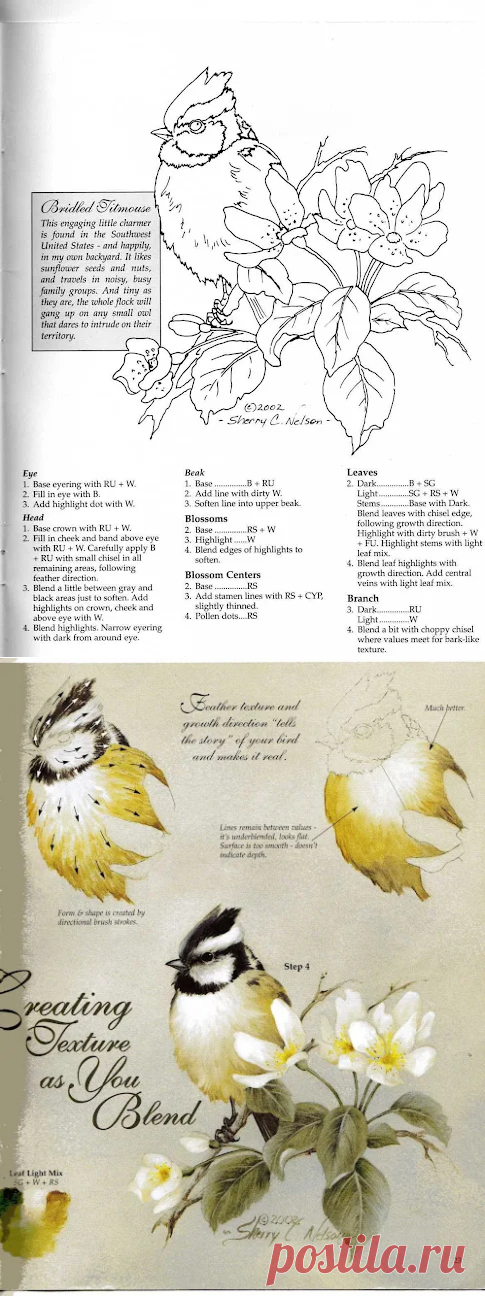 Archivo de álbumes