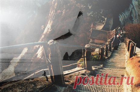 Александр Грибоедов. Ум с сердцем не в ладу. В Москву, в Москву. Часть 6 | Психологические тренинги и курсы он-лайн. Системно-векторная психология Юрия Бурлана