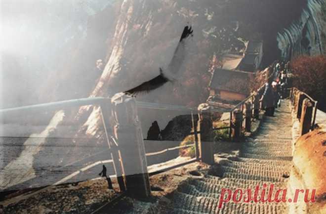 Александр Грибоедов. Ум с сердцем не в ладу. В Москву, в Москву. Часть 6 | Психологические тренинги и курсы он-лайн. Системно-векторная психология Юрия Бурлана