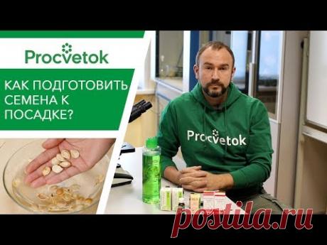 Как подготовить семена к посадке? Ответы на вопросы