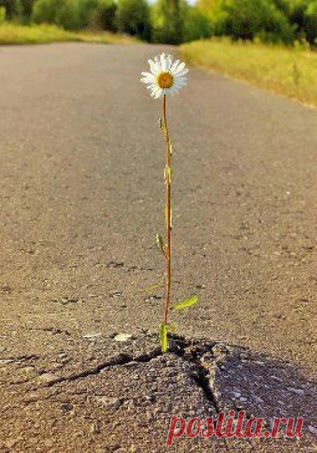 Кати Коробчук
Никогда не сдавайся!!!! Все обязательно получится....