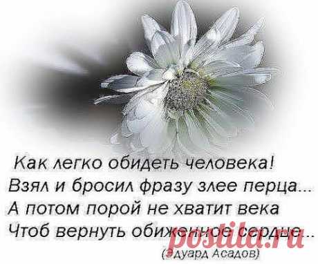 Живи и не думай, что кто-то о тебе забыл. Друзья не забывают друга, а кто забыл, тот не был им.