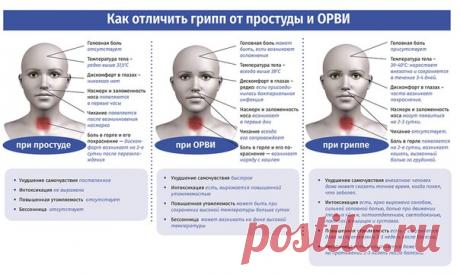 Как отличить грипп от простуды и ОРВИ
https://rus-health.info/Kak-otlichit-gripp-ot-prostudi..

1. Ухудшение самочувствия при:простуде - постепенное, ОРВИ - быстрое, гриппе - внезапное: человек даже может сказать точное время, когда понял, что заболел.2. Температура тела при:- простуде - редко выше 37,5С - ОРВИ - всегда выше 38С - гриппе - 39-40С: нарастает внезапно и сохраняется в течение 3-4 дней.3. Интоксикация при:простуде - не выражена ОРВИ - есть, выражается повышенно...