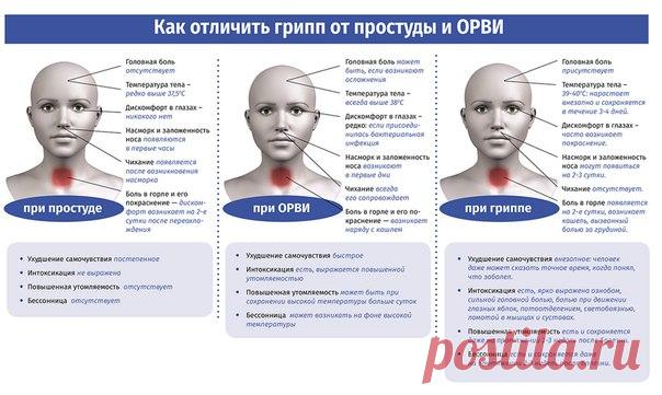 Как отличить грипп от простуды и ОРВИ
http://rus-health.info/Kak-otlichit-gripp-ot-prostudi..

1. Ухудшение самочувствия при:простуде - постепенное, ОРВИ - быстрое, гриппе - внезапное: человек даже может сказать точное время, когда понял, что заболел.2. Температура тела при:- простуде - редко выше 37,5С - ОРВИ - всегда выше 38С - гриппе - 39-40С: нарастает внезапно и сохраняется в течение 3-4 дней.3. Интоксикация при:простуде - не выражена ОРВИ - есть, выражается повышенно...