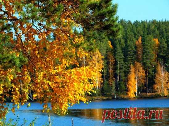 (5) Одноклассники