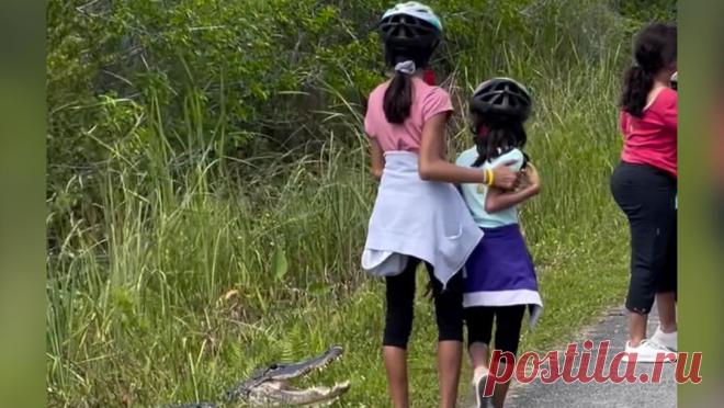 Соцсети раскритиковали родителей, заставивших детей позировать на фото с крокодилом. Пользователи соцсетей раскритиковали родителей из США, заставивших своих детей позировать с крокодилом ради фотографии, пишет NDTV. Как рассказали очевидцы, два взрослых человека призывали своих маленьких детей встать рядом с крокодилом, ...