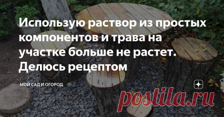 Использую раствор из простых компонентов и трава на участке больше не растет. Делюсь рецептом Тот, кто живет в частном доме, знает, что поддержание чистоты и порядка на участке – дело нелегкое, ведь нужно и за садом присматривать, и постройкам время уделять, и от сорной травы избавляться. С сорняками шутить нельзя, поскольку растут они просто с бешеной скоростью – не успеешь оглянуться, как клумбы и грядки превратятся в настоящие заросли.
Все бы ничего, но важно поддерживать в порядке и