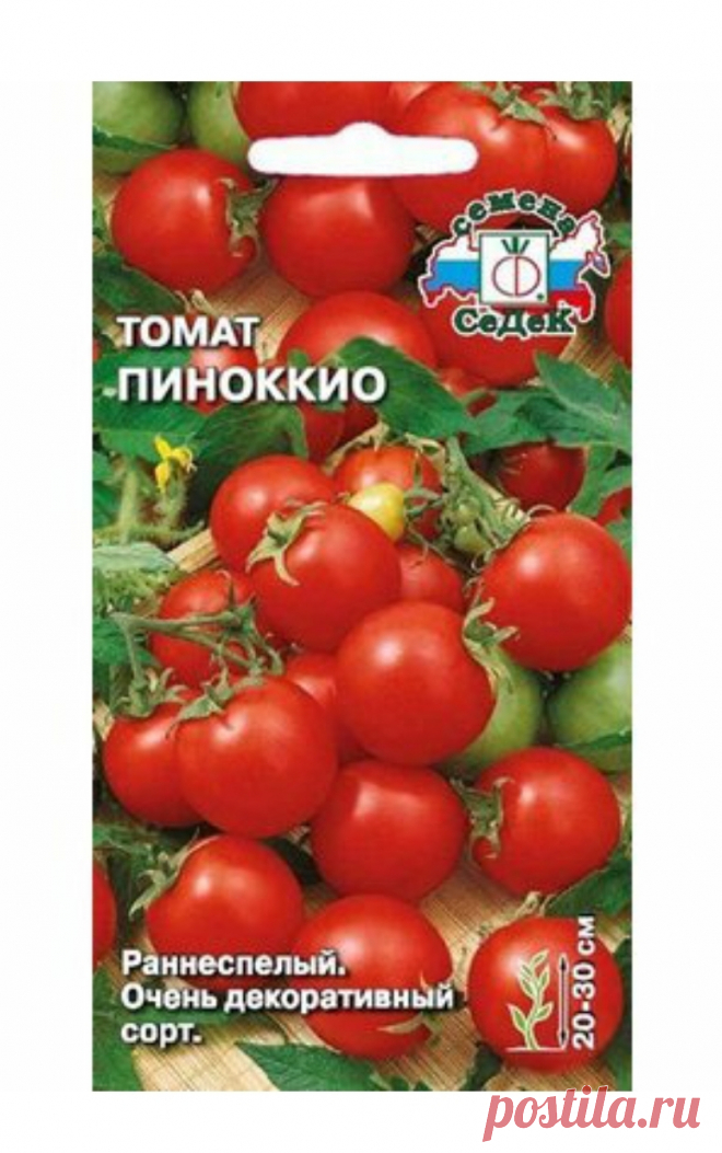 Пиноккио томат отзывы Огород без хлопот - информационный сайт для дач ...