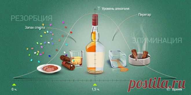 Как быстро протрезветь