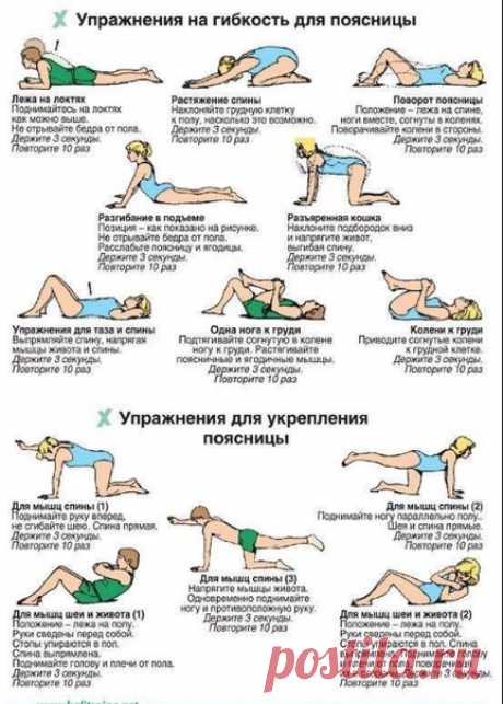 Упражнения для укрепления поясницы