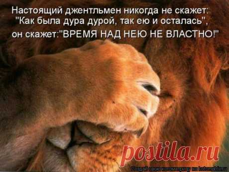 (+1) тема - Для хорошего настроения 3 | Четвероногий юмор