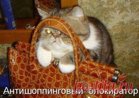 Мой Мир@Mail.Ru