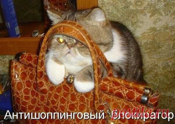 Мой Мир@Mail.Ru