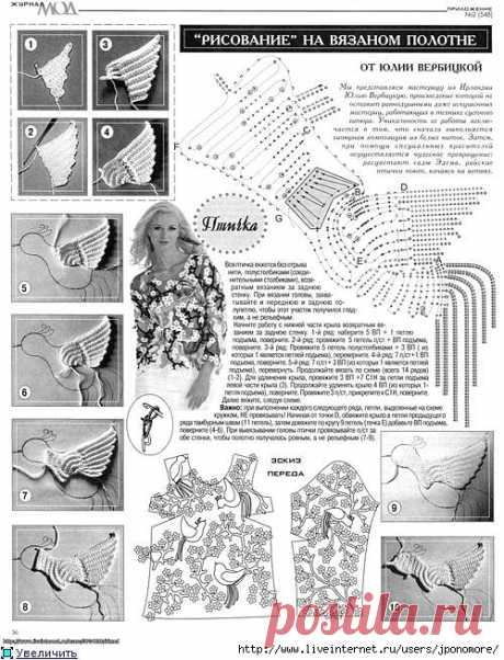 Райские птицы