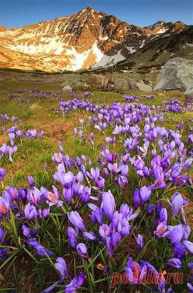 Beautiful Mountains -Mountain Rila - Bulgaria | Lady Nymph приколол(а) это к доске Bulgaria