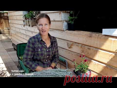 БАЛЬЗАМ ИЗ ПОЛЫНИ ВОССТАНОВИТ ЛЕГКИЕ ПОСЛЕ КОРОНАВИРУСА НАСТОЙ ПРИ КЛИМАКСЕ ЛЕЧЕНИЕ ПРОСТАТИТА