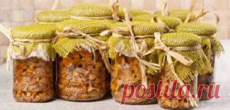 Маринад для любого вида грибов: будут хрустящими и слегка кисло-сладкими — Дачный участок