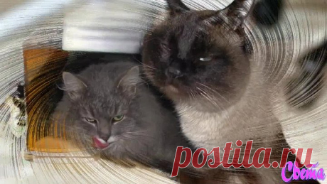 Сергей Одинцов-Пивко.Весёлая песенка)))