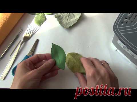 Мастер-класс 