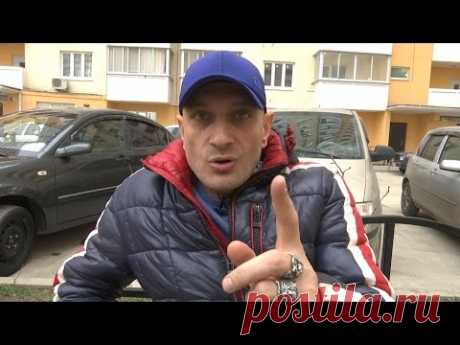 Пищевая агрессия или недоверие? (Немецкая овчарка)