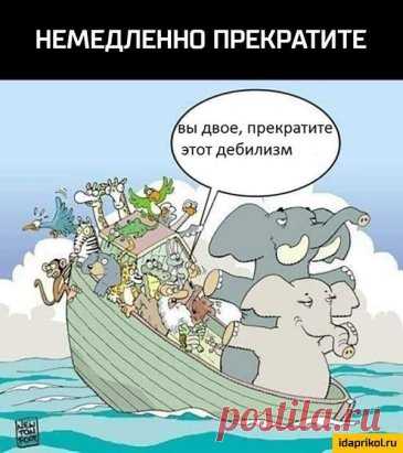 Улыбнемся )))