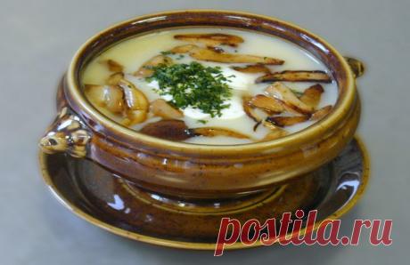 5 лайфхаков, которые помогут сделать грибной суп еще вкуснее Грибной суп является одним из самых полезных первых блюд, поскольку основной компонент является важным источником витаминов и питательных веществ.