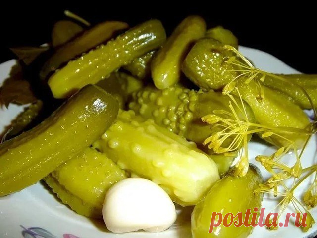 Огурцы как из бочки( квашеные).

Огурцы как из бочки. Готовлю такие огурчики не один год - всегда хрустят и отлично хранятся.
В подготовленные банки на дно укладываем листики хрена, можно и корешки, зонтики укропа, листья смородины, дуба, дольки чесночка и перец черный горошком. Укладываем огурчики и заливаем горячим маринадом: на 1 литр воды 2 ст. ложки крупной каменной соли. Оставляем при комнатной температуре для брожения на 3 дня . Появившуюся белую пену снимаем и слив...