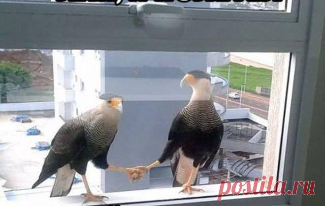 Подборка эмоциональных снимков