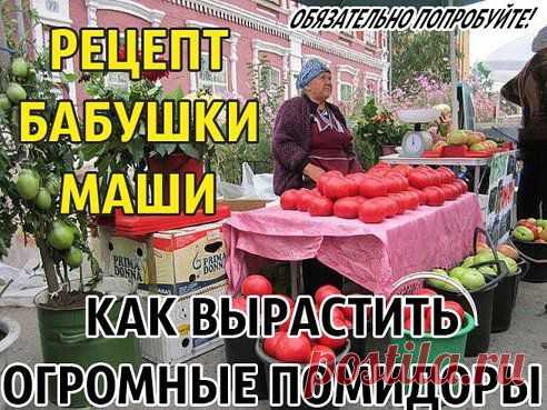 (50) Одноклассники