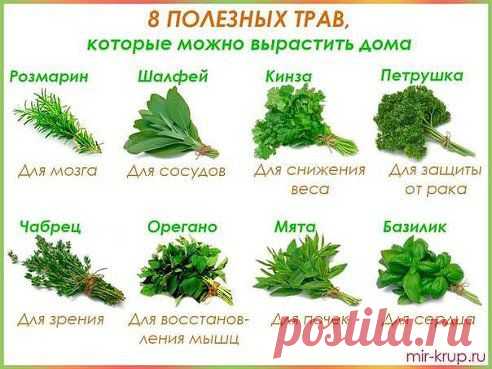 ДЕАФ РОЛИКИ АЛЛА(ФАТИМА )
8 полезных трав