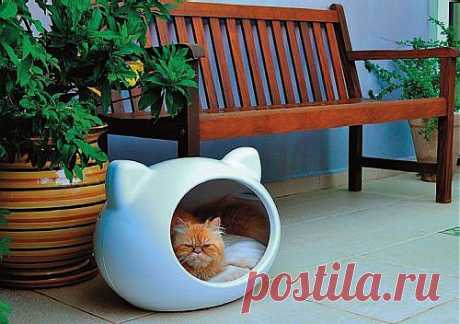 Decora.me - Casa para gatos