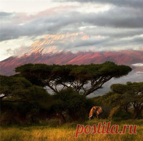 Удивительная Кения (38 фото) Кения — государство в Восточной Африке. Является бывшей колонией Великобритании, получила независимость 12 декабря 1963 года. На сегодняшний день страна