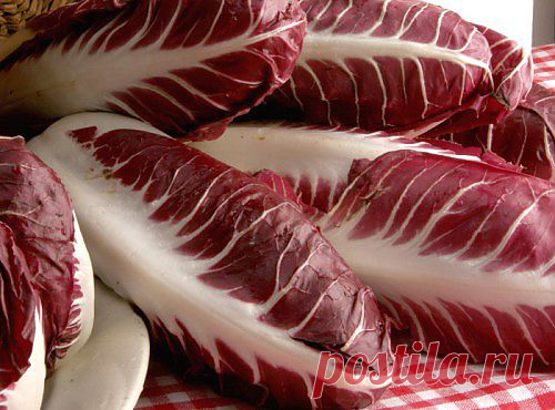 Радиккио-зачем его нужно есть