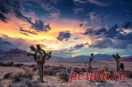 Рэд Рок Каньон, Штат Невада. | WorldCity