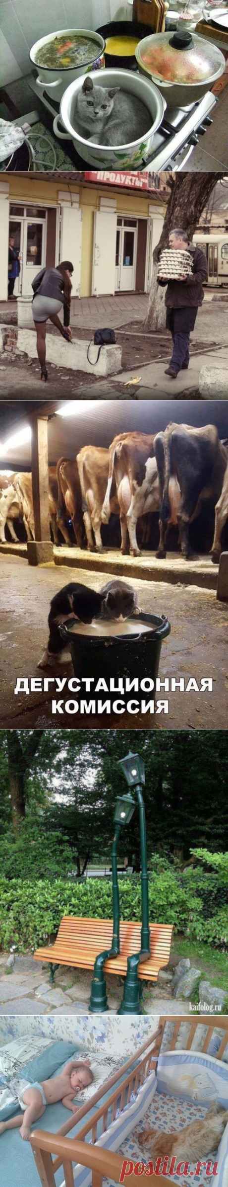 Веселые картинки...